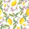 Seamless pattern Lemons with green leaves, lemon slices and flowers.