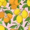 Seamless pattern with lemons oranges