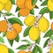 Seamless pattern with lemons oranges