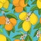 Seamless pattern with lemons oranges