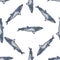 Seamless pattern lesser rorqual on white background. Template of cartoon character of ocean for fabric