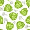 Seamless pattern of lettuce leaves and dill twigs