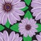 Seamless Pattern Lilac Blossom Purple