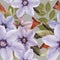 Seamless pattern of lilac clematis flowers with leaves orange and blue