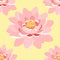 Seamless pattern lotus flower pink close up