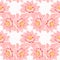 Seamless pattern lotus flower pink close up on a white background