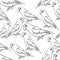 Seamless pattern lovebirds parrot with a red beak coloring vect