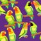 Seamless pattern lovebirds parrot with a red and black head. ve