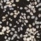 Seamless pattern of Lunaria rediviva branches