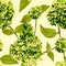 Seamless pattern lush hydrangeas with leaves shades of green
