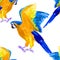 Seamless pattern Macaw a parrot yellow blue araruna watercolor illustration