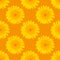 Seamless pattern made from dandelion yellow flowers on orange background.