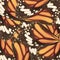 Seamless pattern made from monarch butterfly wing for background