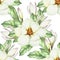 Seamless pattern with magnolia. Hand draw watercolor illustration