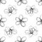 Seamless pattern magnolia and plumeria, drawing spring flowers isolated on white background. Sketch hand drawn