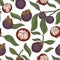 Seamless pattern with mangosteen vector. Assorted fruits of mangosteen, repeating continuous background. Fruits are