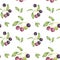Seamless pattern with maqui berries white background