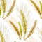 Seamless pattern mature of wheat close. vector illustration