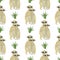 Seamless pattern Meerkat watercolor animal elements set Mongoose leaves flowers