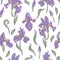 Seamless pattern of modern bright iris flowers