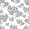 Seamless pattern with monohcrome  leaves of tree of sorbus. Hand drawn ink sketch isolated on white background