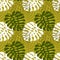 Seamless pattern, monstera leaves, green, white and outline on a mustard background. Print, textile, wallpaper, bedroom decor