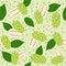 Seamless pattern of morinda citrifolia, noni fruit, superfood, on green background. Organic healthy food. Vector cartoon