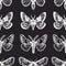 Seamless pattern with moths in retro style. Insects on a dark background. Dotwork.