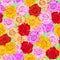 Seamless pattern of multi-colored roses on green background