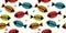 Seamless pattern with multicolored silhouette of fish bones on white background.