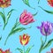 Seamless pattern of multicolored tulips on a blue background