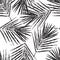 Seamless pattern natural black  palm leaves stamp on white  background, foliage vector, illustration