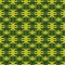 seamless pattern natural photo flower Mimosa. yellow-green colo