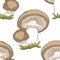 Seamless pattern is nature mushrooms champignons. vector illust
