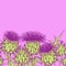 Seamless pattern with onopordum acanthium. Scottish thistle