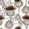 Seamless pattern with onopordum acanthium. Scottish thistle