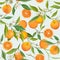 Seamless Pattern. Orange Fruits Background