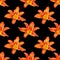 Seamless pattern orange lily flower black background isolated, red & yellow petals lilly repeating ornament, daylily texture