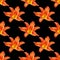 Seamless pattern orange lily flower black background isolated, red & yellow petals lilly repeating ornament, daylily texture