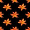 Seamless pattern orange lily flower black background isolated, red & yellow petals lilly repeating ornament, daylily texture