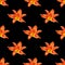 Seamless pattern orange lily flower black background isolated, red & yellow petals lilly repeating ornament, daylily texture