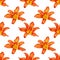 Seamless pattern orange lily flower white background isolated, red & yellow petals lilly repeating ornament, daylily texture