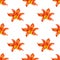 Seamless pattern orange lily flower white background isolated, red & yellow petals lilly repeating ornament, daylily texture