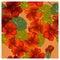 Seamless pattern with orange nasturtium flowers