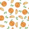 Seamless pattern with oranges, collection of watercolor oranges