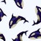 Seamless pattern with orca. Vector.