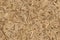 Seamless pattern of OSB boards from wood chips