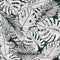Seamless pattern with outline monstera line leaves. Tropical pattern, botanical leaf wallpaper
