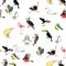 Seamless pattern owl, toucan, bluegrass tit, kiwi bird, harpy, b