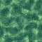 Seamless pattern palm leave green colour